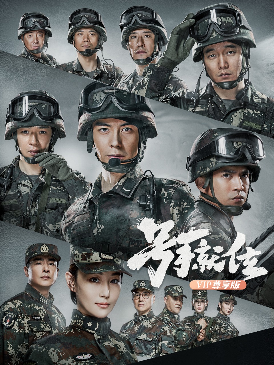 号手就位 VIP尊享