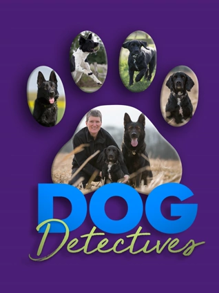 小狗侦探